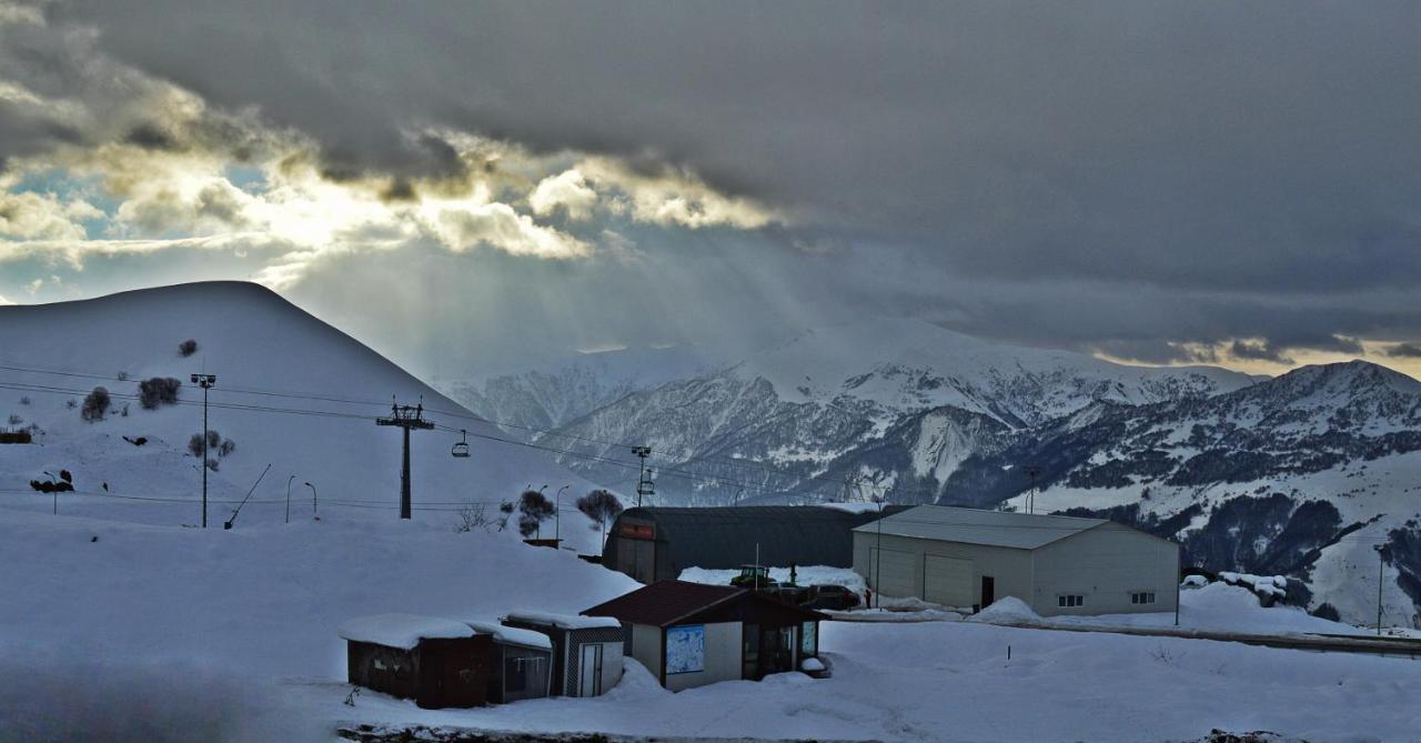 Alpestrine - Vista Gudauri - Apartment N27 Zewnętrze zdjęcie